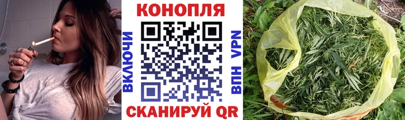купить   Чернушка  МАРИХУАНА VHQ 